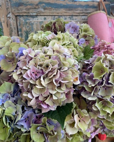 Photo post from blomsterborsen.