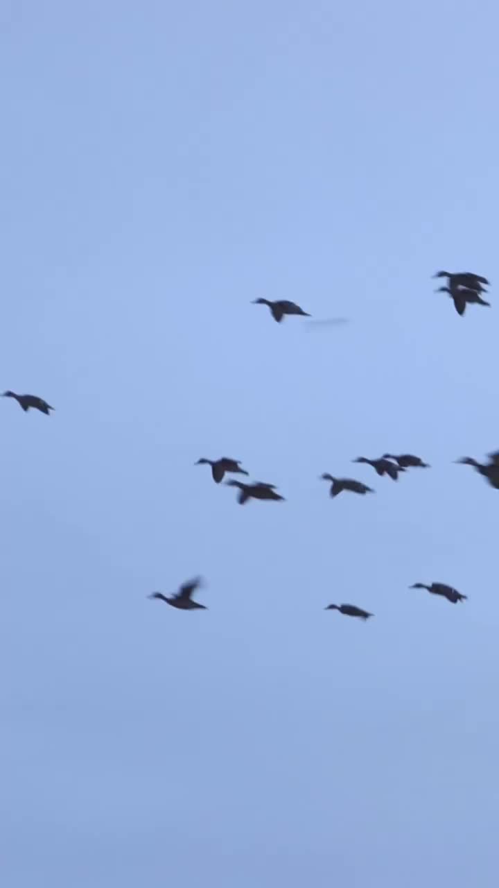 Video post from northernskiesoutfitters.