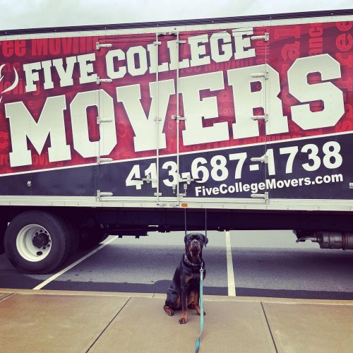 Photo post from fivecollegemovers.