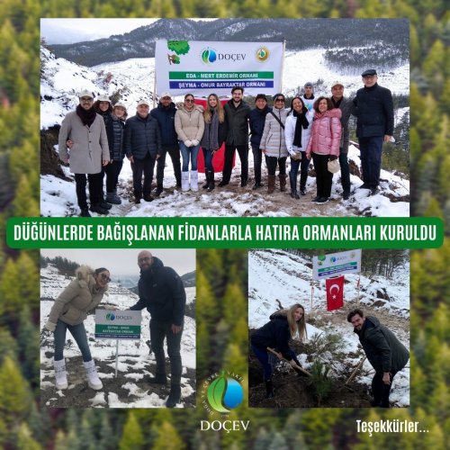 Photo post from dogavecevrevakfi.