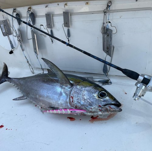 Photo post from ejs_fishing_charters.