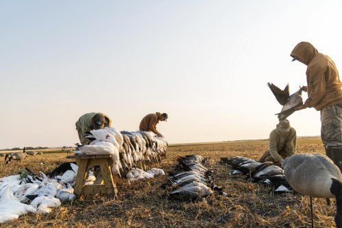 Photo post from northernskiesoutfitters.