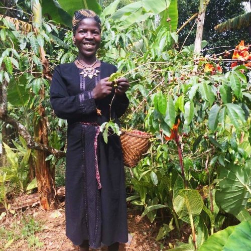 Carousel post from equianocoffee.