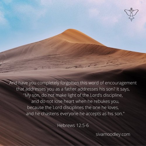 Photo post from drsivamm.