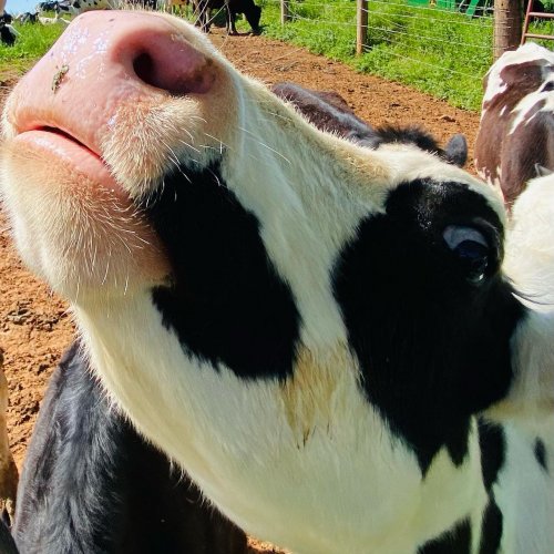 Carousel post from freyaetthor.