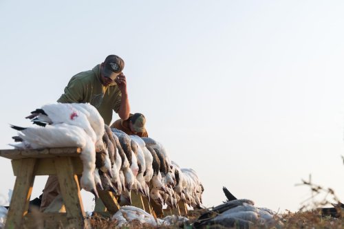 Photo post from northernskiesoutfitters.