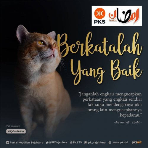 PostPhoto