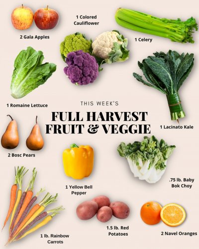 Photo post from farmbox_arizona.