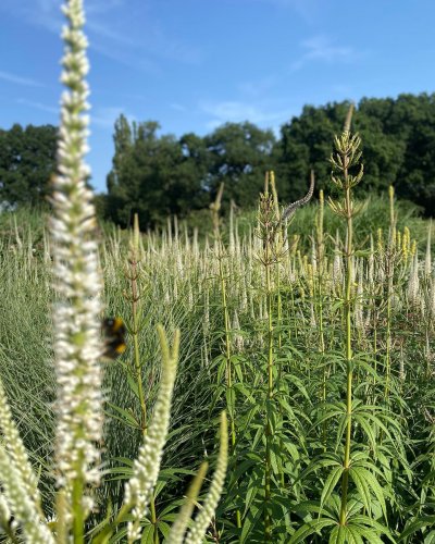 Photo post from sussexprairies.