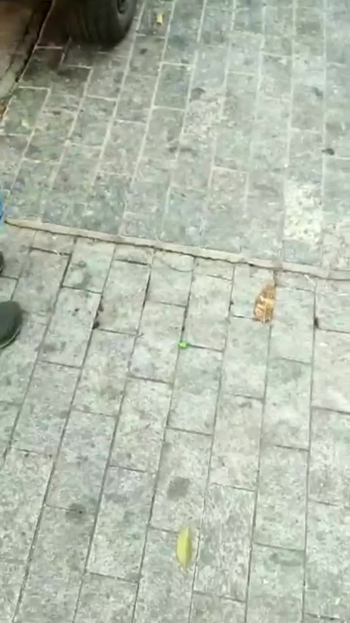 Video post from vbtuning.