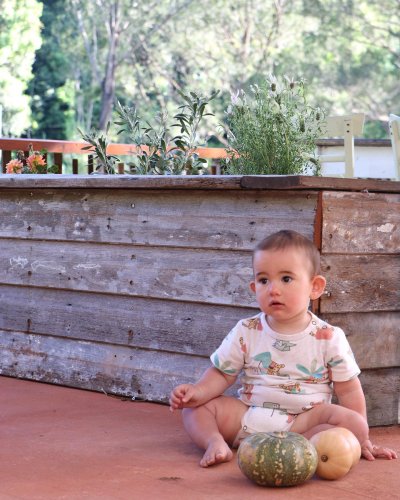 Carousel post from currumbinvalleyharvest.