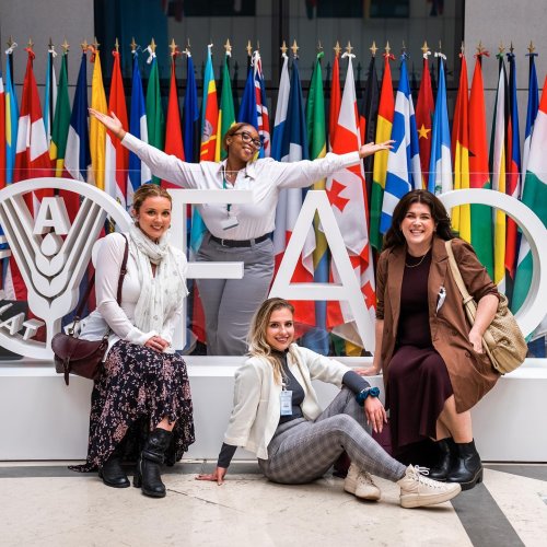 Carousel post from aurrome.