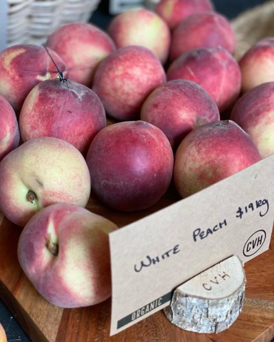 Photo post from currumbinvalleyharvest.