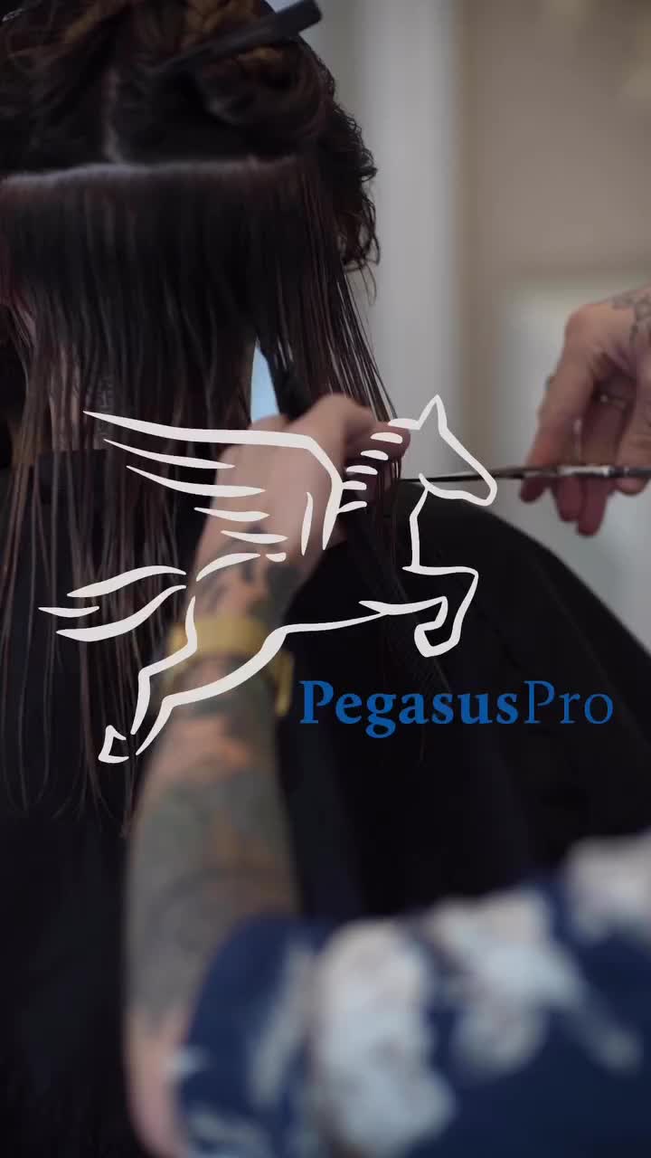 Video post from pegasus.pro.