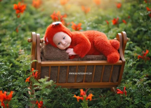 Photo post from abl_photography_sandiego.