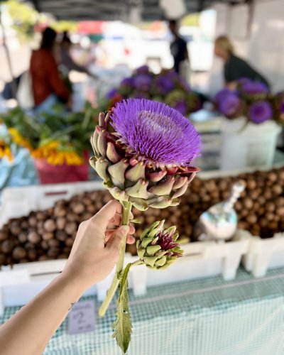Photo post from visaliafarmersmarket.