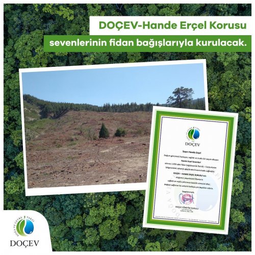 Photo post from dogavecevrevakfi.