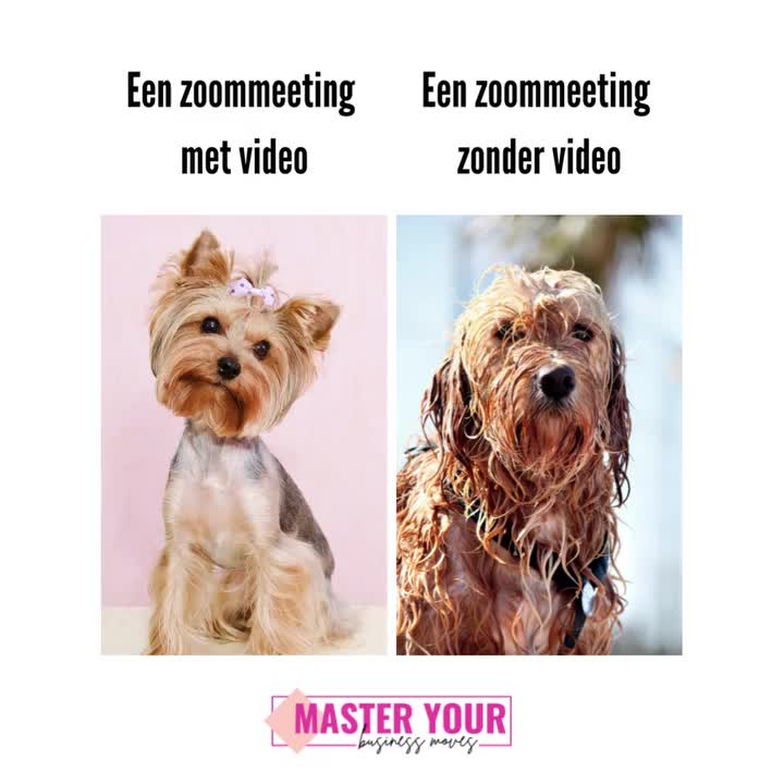 Video post from masteryourbusinessmoves.nl.