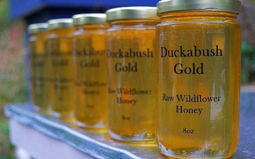 Photo post from hungryhollowfarm.