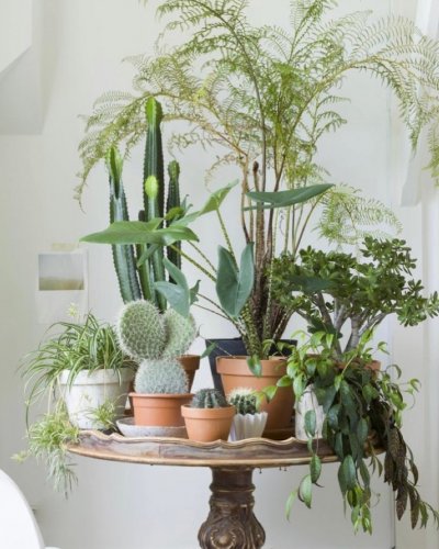 Photo post from crane_living.