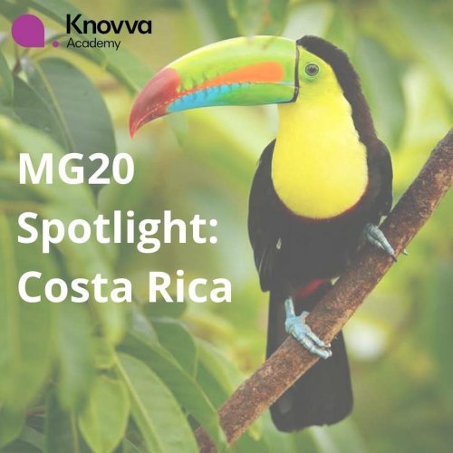 Photo post from knovva_academy.