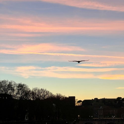 Photo post from aurrome.