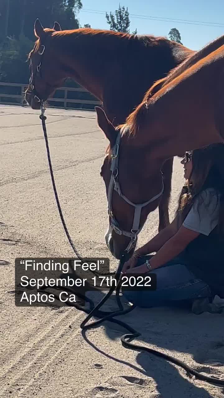 Video post from __amber_lydic__.