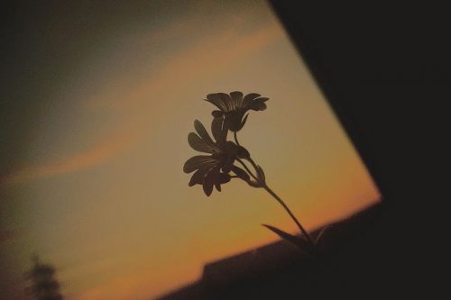 PostPhoto