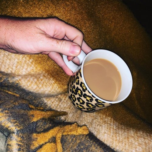 Photo post from counterpoint_digital.