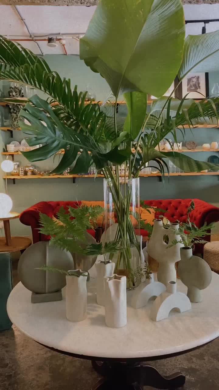 Video post from crane_living.