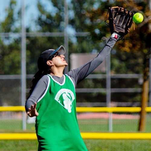 Photo post from sisterhoodsoftball.