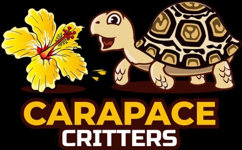 Photo post from carapacecritters.