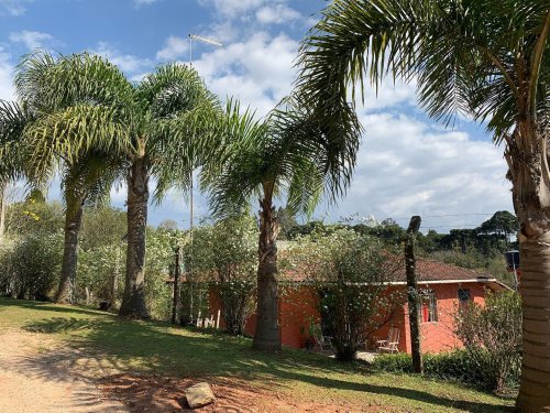 Carousel post from imobiliariammocelin.