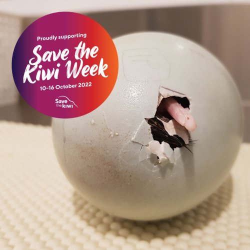 Photo post from comvita_nz.