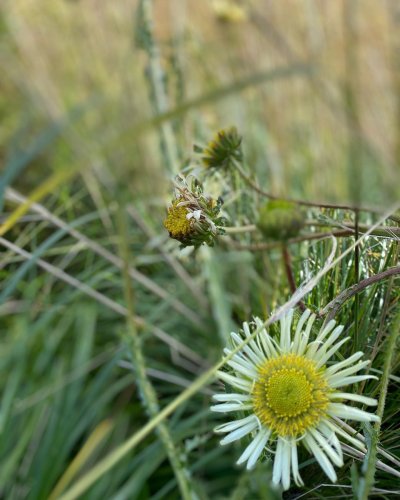 Photo post from sussexprairies.