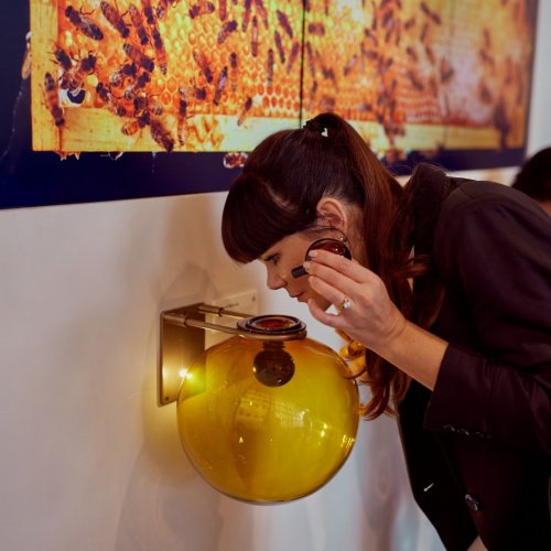 Carousel post from comvita_nz.