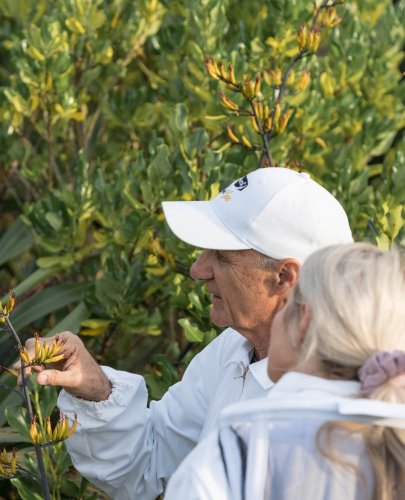 Carousel post from comvita_au.