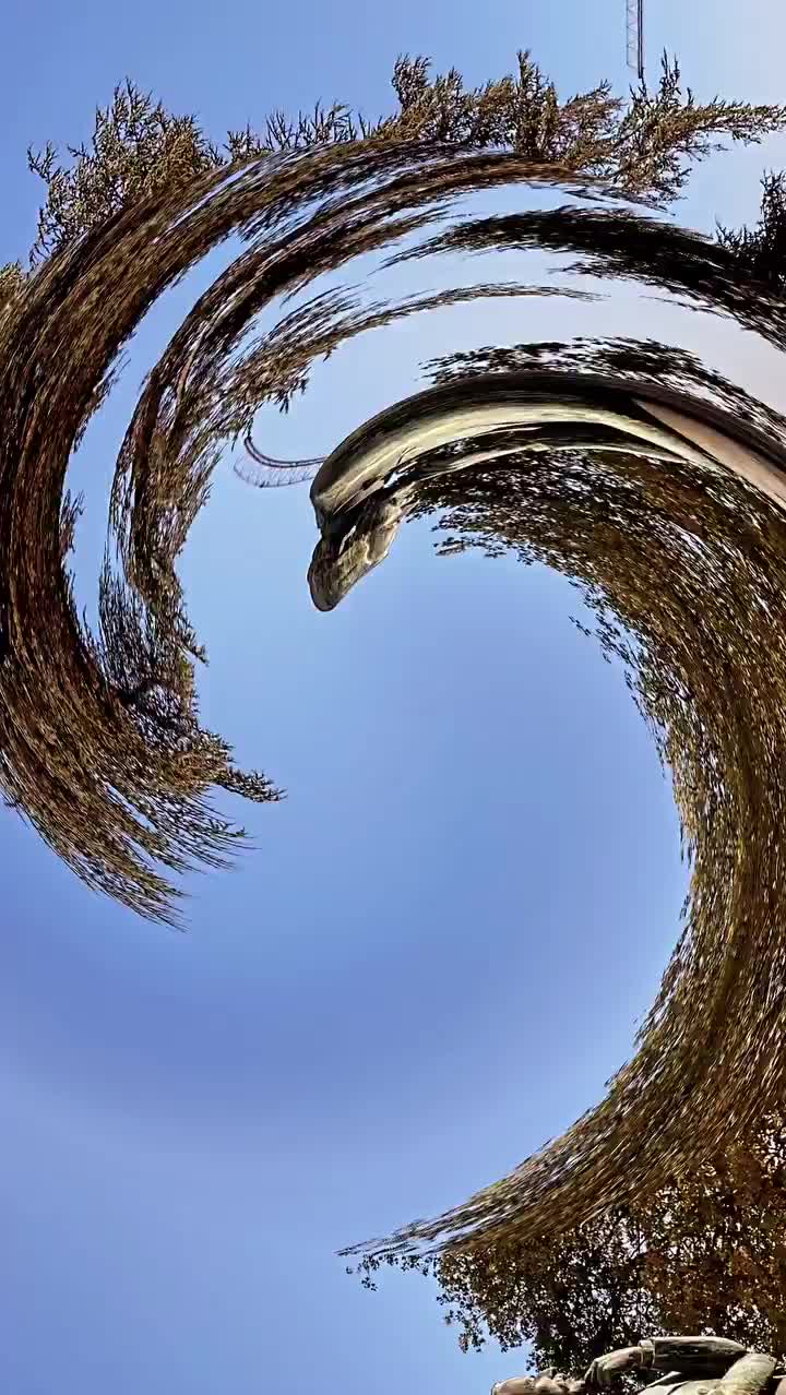 Video post from portorunningtours.