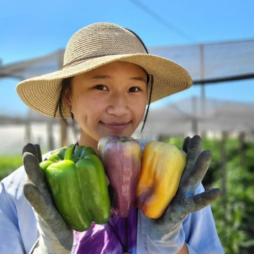 Photo post from visaliafarmersmarket.