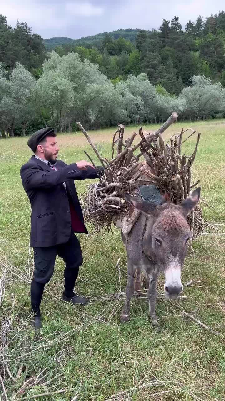 Video post from mehmetenliogluofficial.