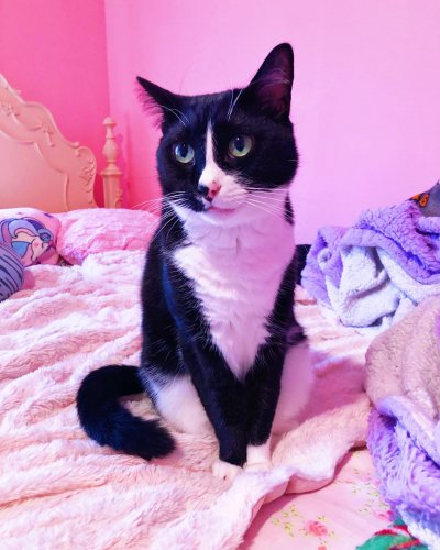 Photo post from margaritabloom.