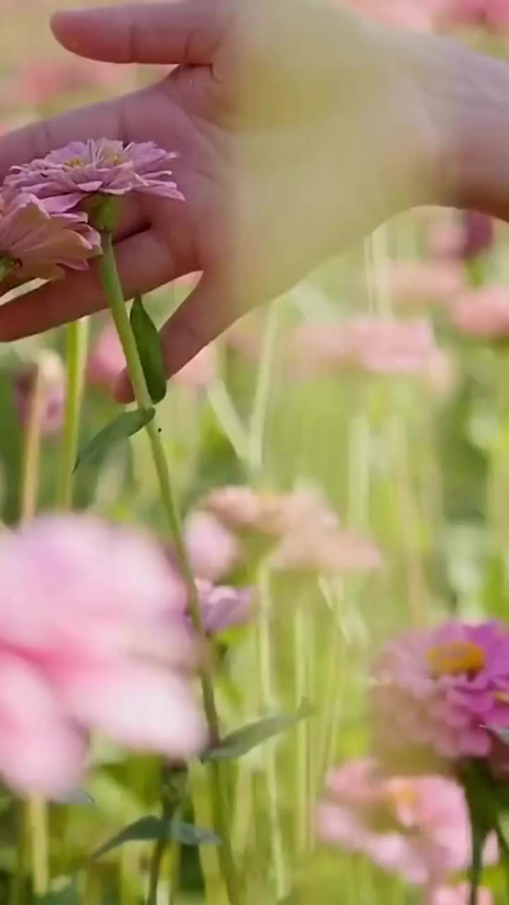 Video post from galeriaspacificoshopping.