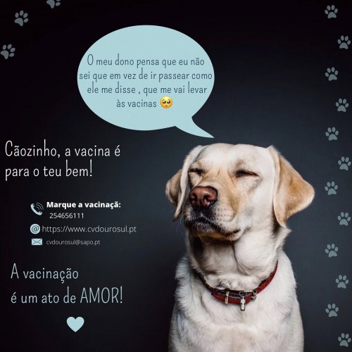 Photo post from clinica_veterinaria_dourosul.