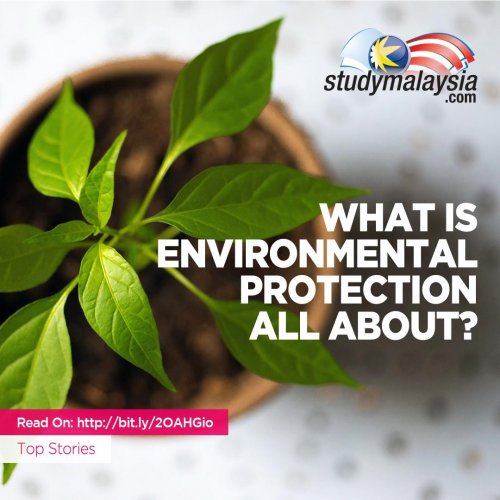 Photo post from studymsia.