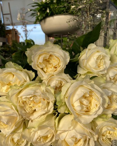Photo post from blomsterborsen.
