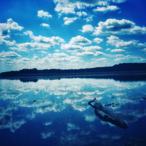 Photo post from visitoirschot.