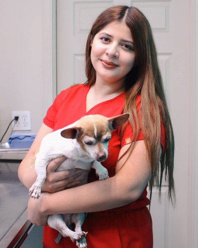 Photo post from medicalpettj.