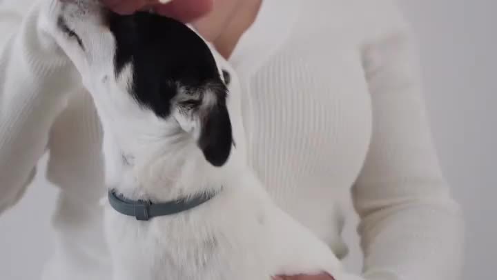 Video post from clinica_veterinaria_dourosul.