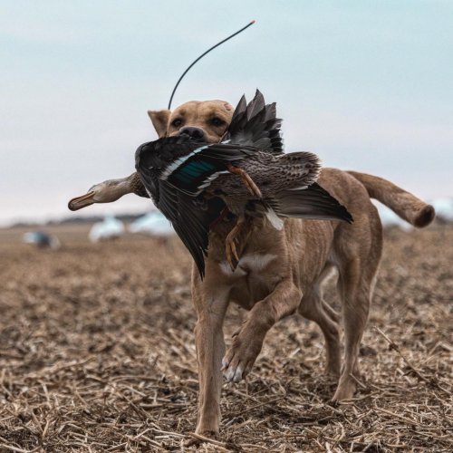 Photo post from northernskiesoutfitters.