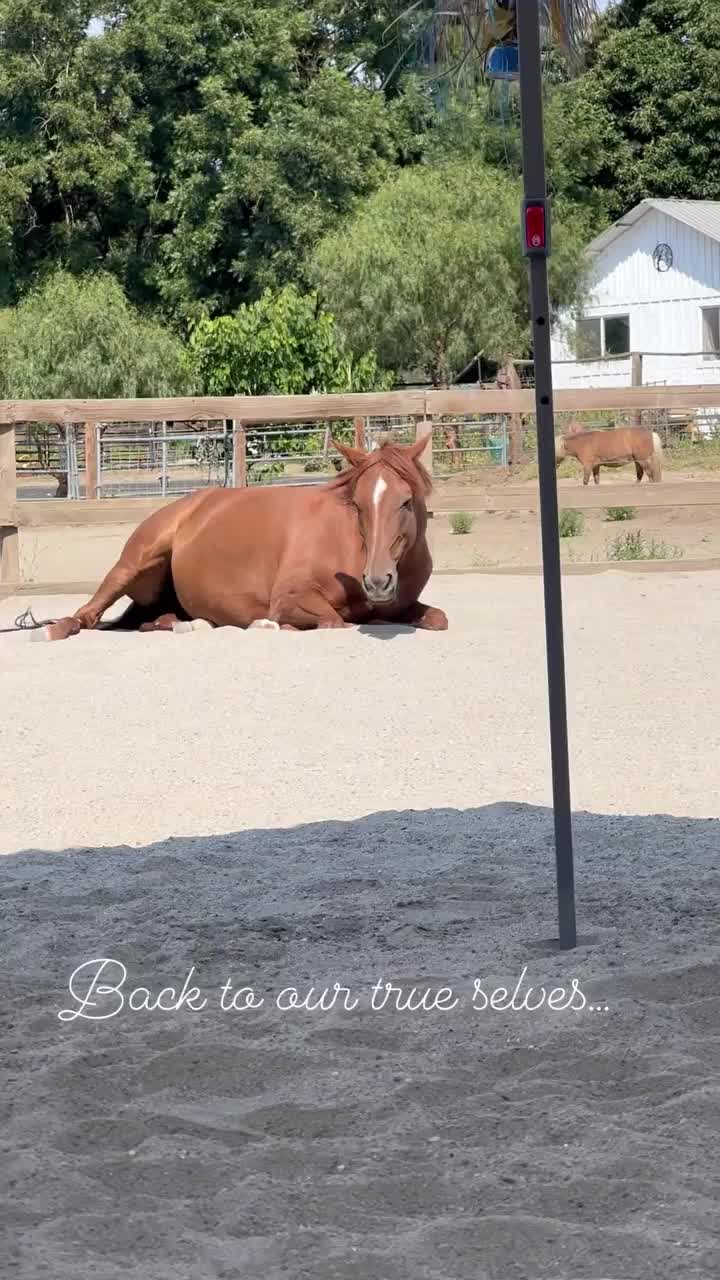 Video post from __amber_lydic__.